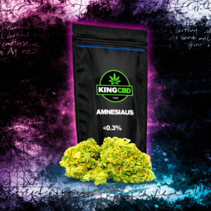 AMNESIA US CBD - King CBD